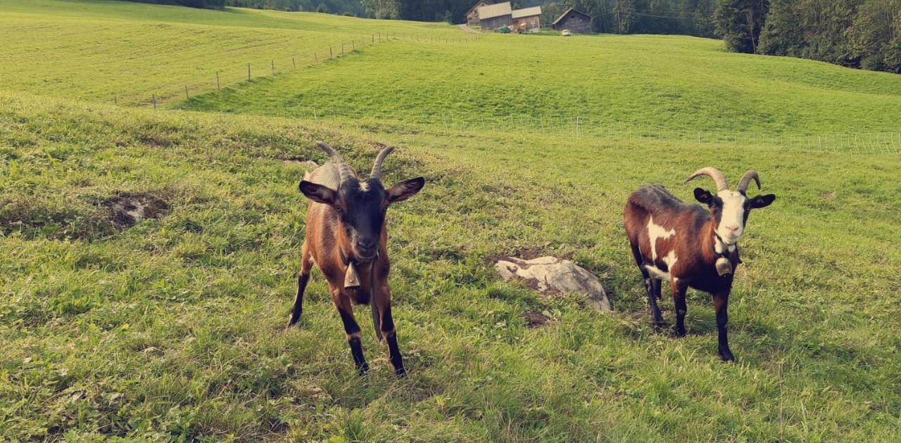 Ferienwohnung Bauernhof Farnach Andelsbuch Exterior foto